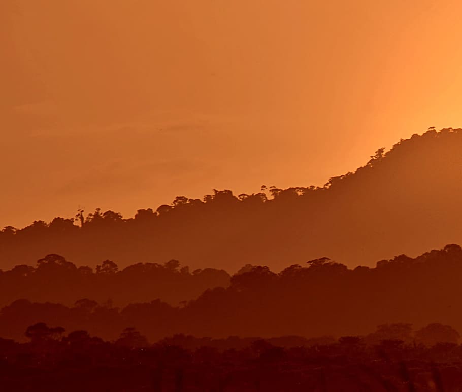 Sunset, Guyana, Orange, nature, fog, dramatic sky, silhouette HD wallpaper