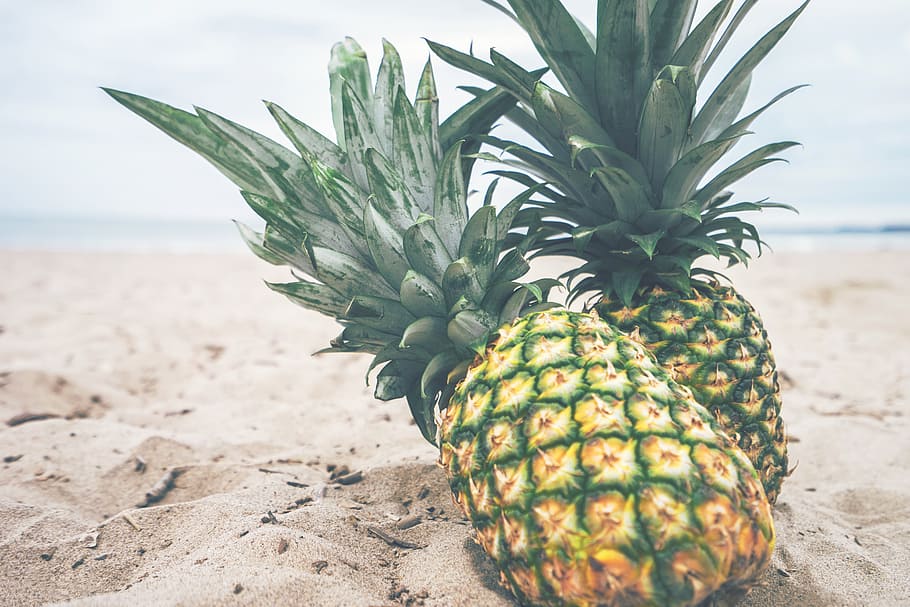 green pineapples on brown sand in shallow focus photography HD wallpaper