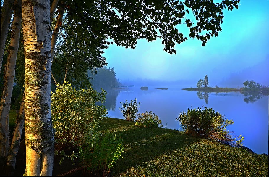 landscape, summer, trees, lake, blue, sky, plant, water, tranquility HD wallpaper