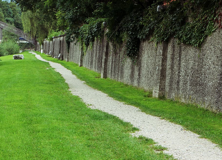 promenade, path, away, trail, wall, limit, plant, tree, grass HD wallpaper