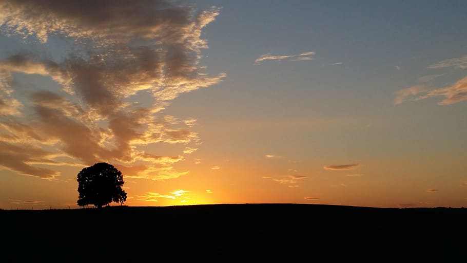 sunset, tree, abendstimmung, landscape, evening sky, nature HD wallpaper
