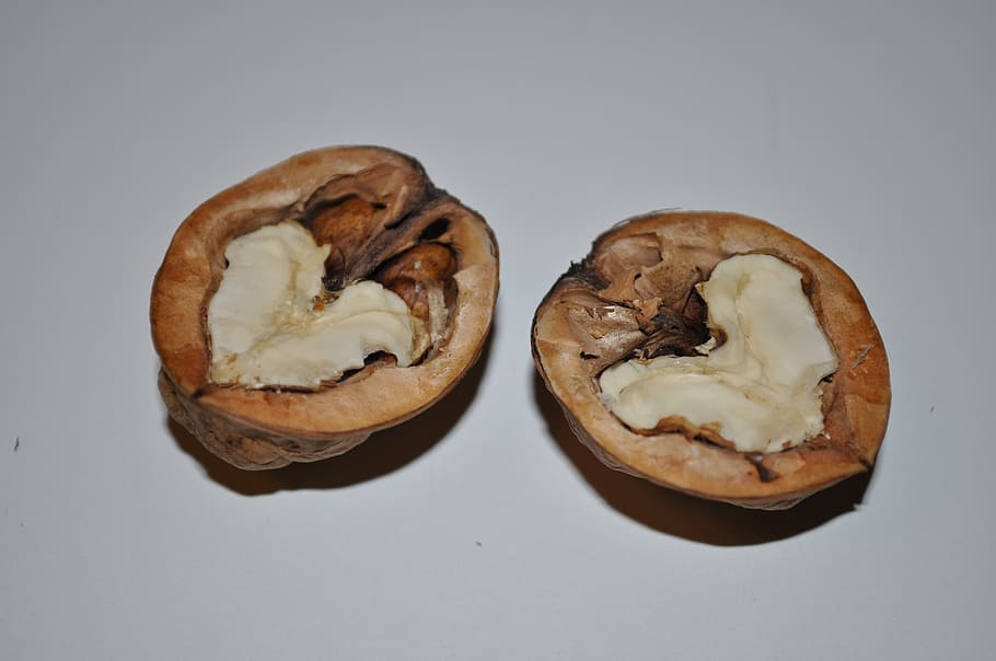 nuts, fruit, fall, food, gourmet, snack, food and drink, studio shot HD wallpaper