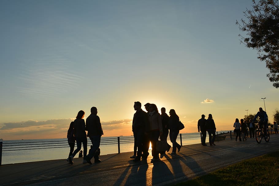 silhouette of people, sunset, shadow, travel, adventure, trees HD wallpaper