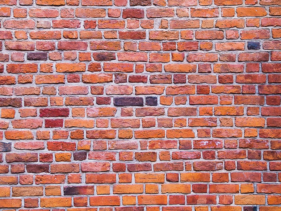 close-up of brown brick wall, bricks, graffiti, texture, design HD wallpaper