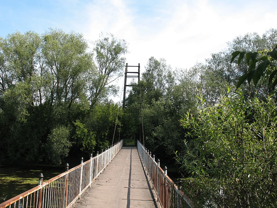 bridge, sidewalk, trees, summer, away, nature, hiking, landscape HD wallpaper