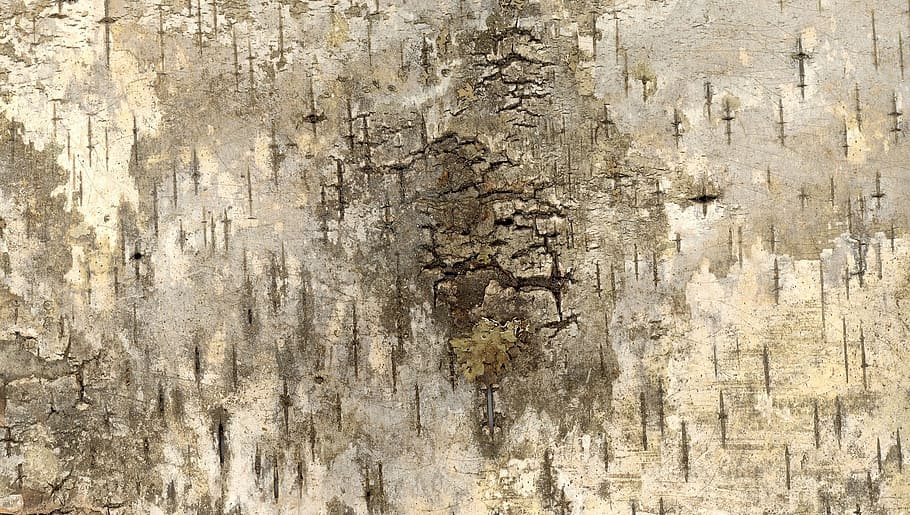 grey bark surface, grunge, texture, background, scrapbook, art HD wallpaper
