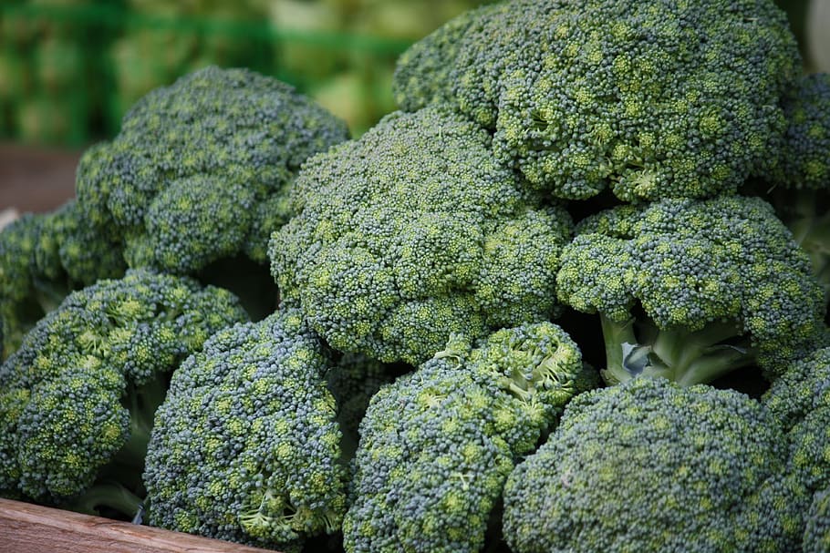 Broccoli, Healthy, Vegetable, green, food, adult, antioxidant HD wallpaper