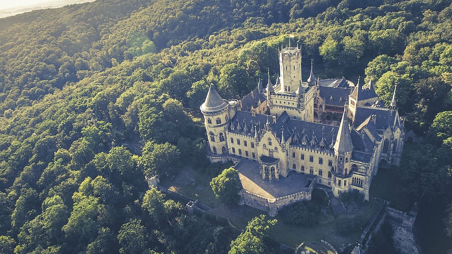 white and gray house surrounded by trees, castle, building HD wallpaper