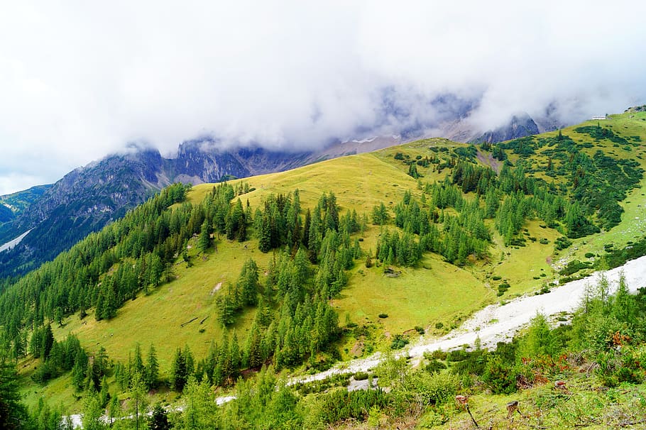 mountains, clouds, nature, sky, trees, grass, fog, forest, green HD wallpaper