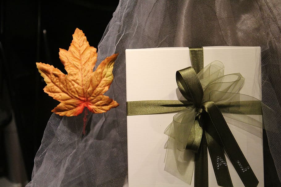 gift, leaf, bow, birthday, indoors, plant, close-up, flower HD wallpaper
