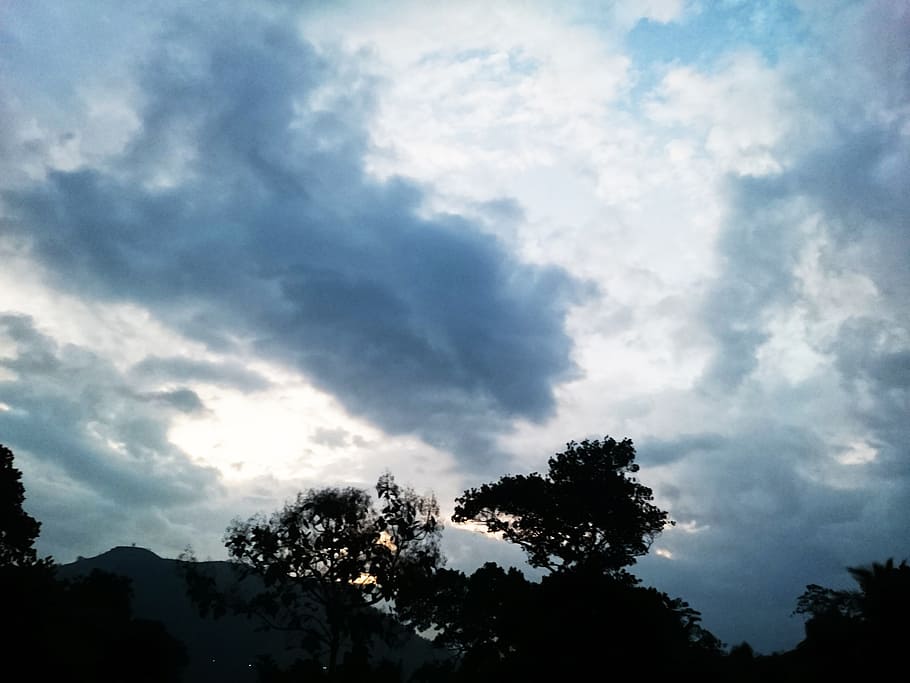 nature, cloud, sky, cloud - sky, tree, plant, beauty in nature HD wallpaper