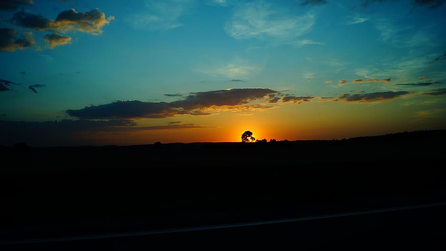 sun, tree, sky, clouds, nature, landscape, evening, silhouette HD wallpaper