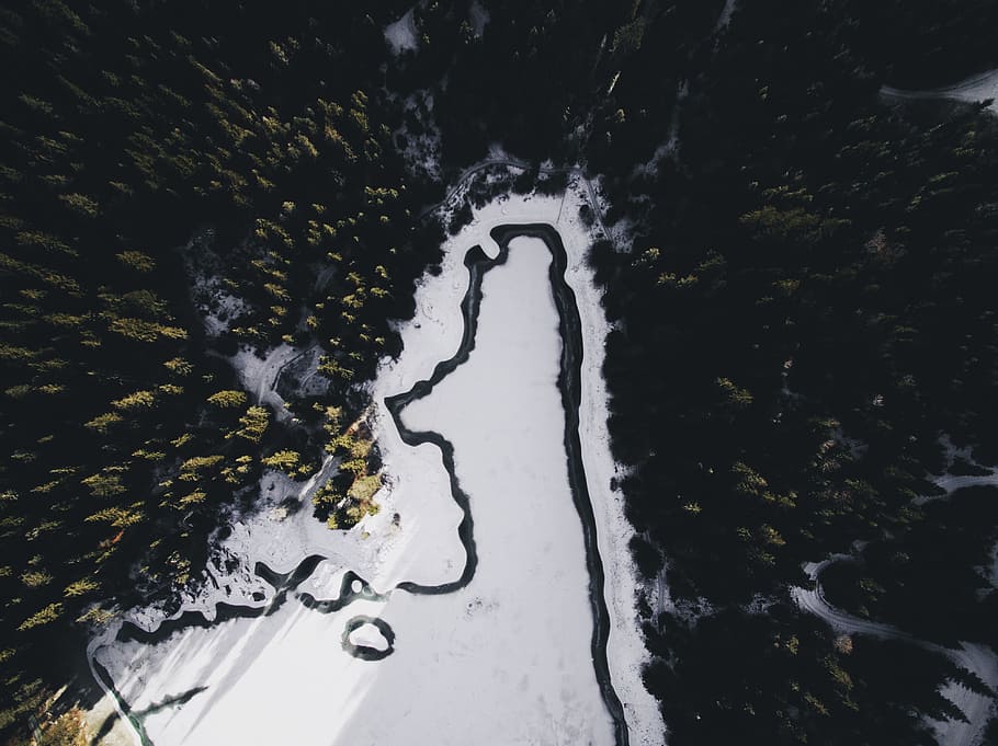 aerial, view, snow, winter, dark, trees, plant, forest, nature HD wallpaper