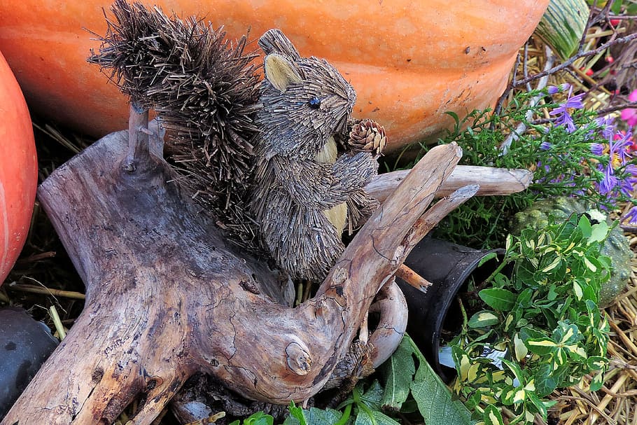 Thanksgiving, Root, Straw, Effigy, straw effigy, squirrel, pumpkin HD wallpaper