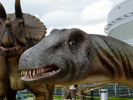 dinosaur, brontosaurus, head, teeth, extinct, maquette, model HD wallpaper