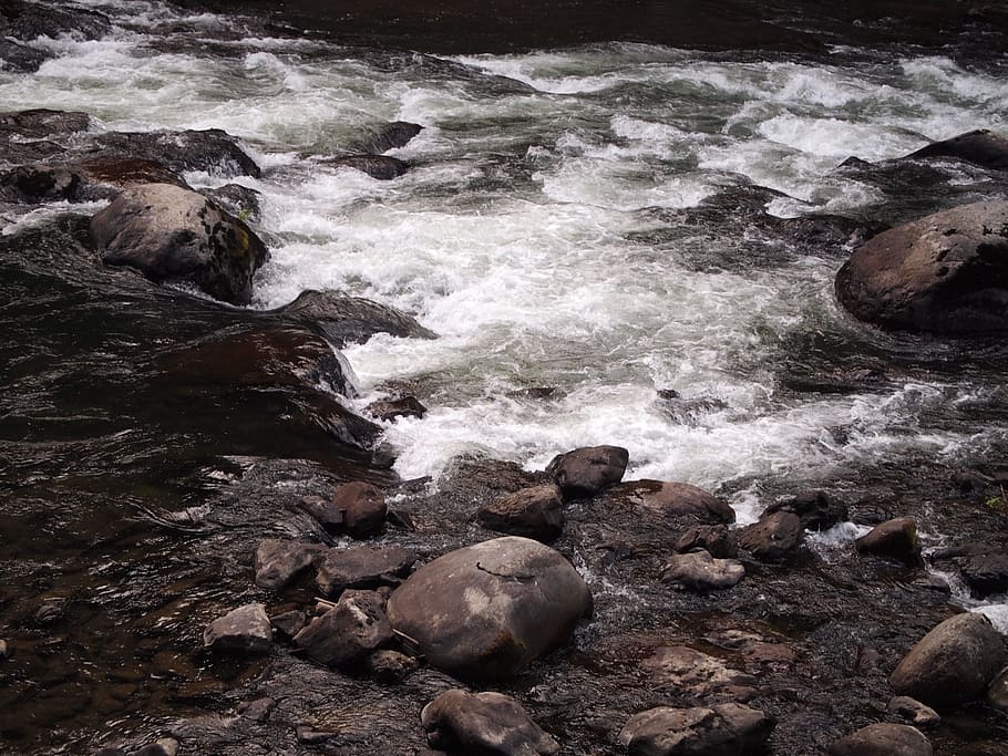 river, stream, water, nature, scenic, vibrant, outdoors, cascades HD wallpaper