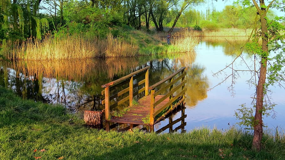 brown wooden deck on body of water at daytime, mirror, bridge HD wallpaper