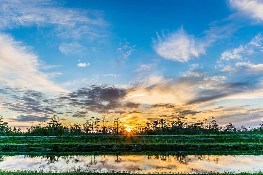 sunset, everglades, landscape, dawn, sundown, swamp, florida, HD wallpaper