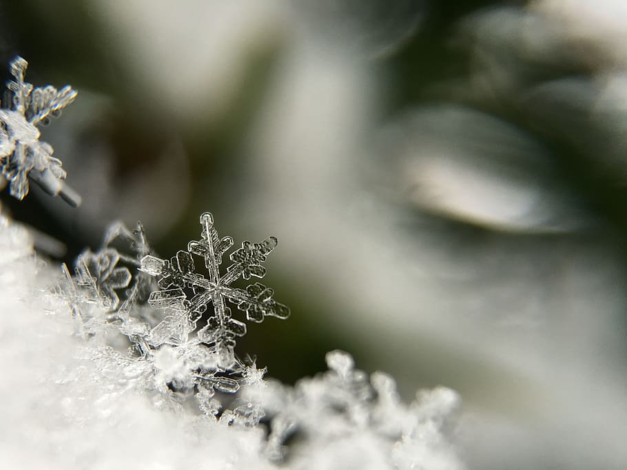 selective focus photography snowflakes, focus photo of snowflakes HD wallpaper