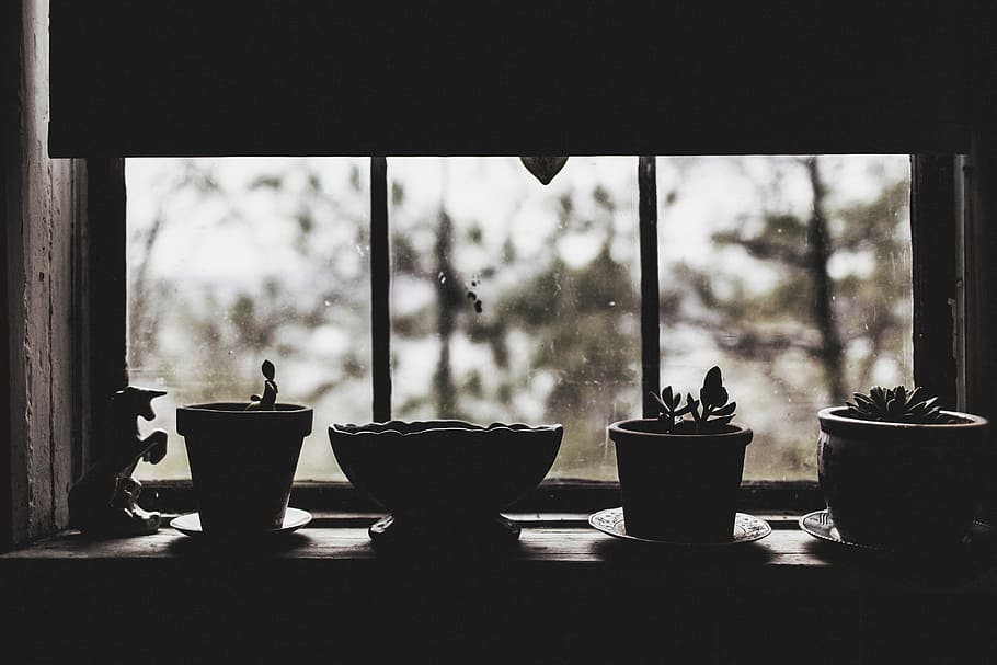 four planter pots, objects, lazy, sad, gloomy, rain, plants, unicorn HD wallpaper