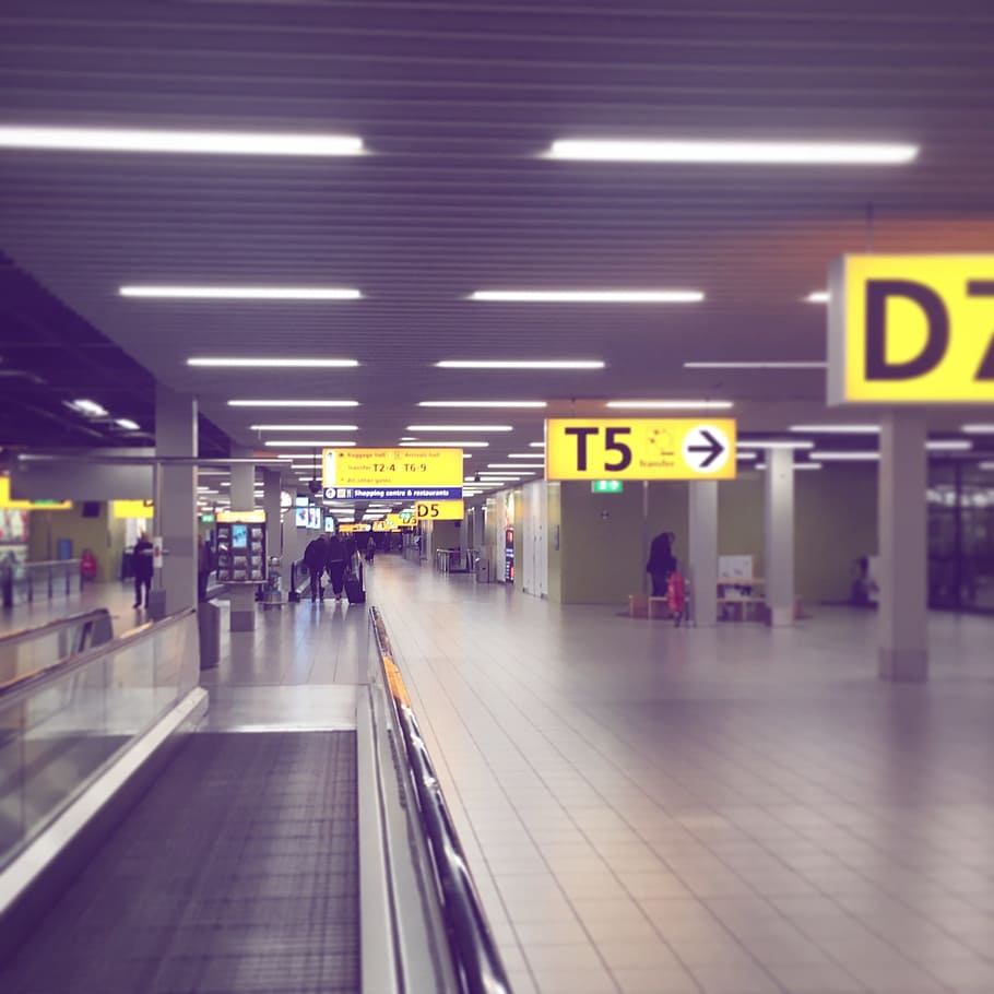 airport, amsterdam, schiphol, transportation, illuminated, mode of transportation, HD wallpaper