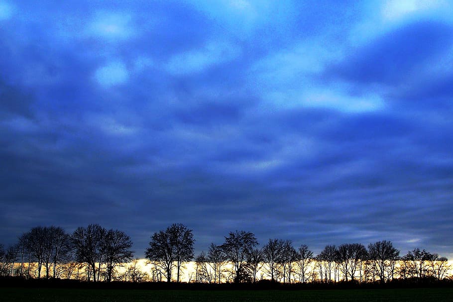 Landscape, Blue, Sky, Trees, Silhouette, black, ground, horizons HD wallpaper