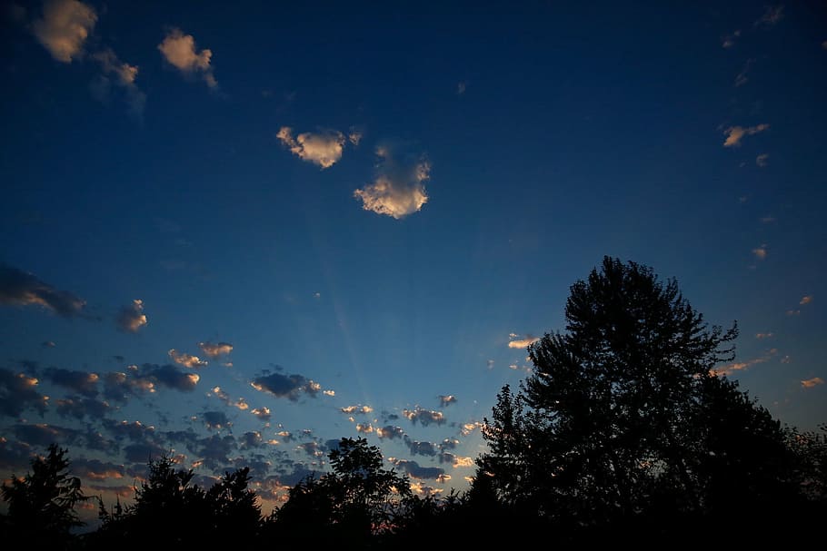 silhouette photo of trees under blue sky, sunset, clouds, nature HD wallpaper