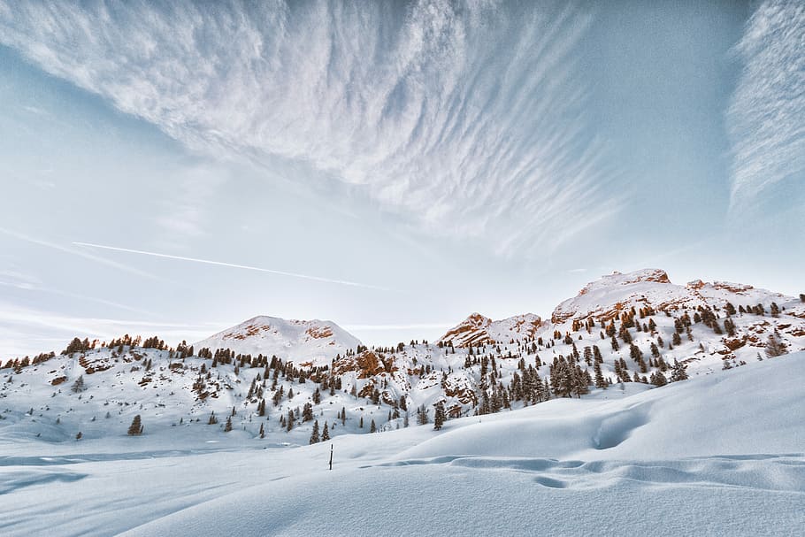 mountain with snow at daytime, mountain and trees covered with snow HD wallpaper