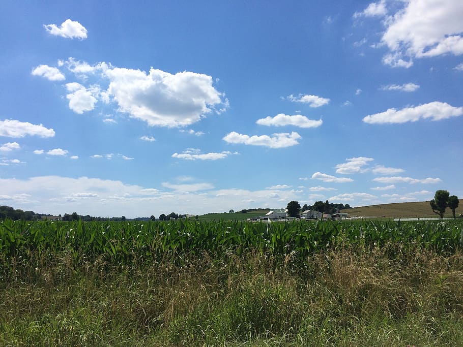 Clouds, Rural, Sunlight, Travel, sky, land, agriculture, summer HD wallpaper