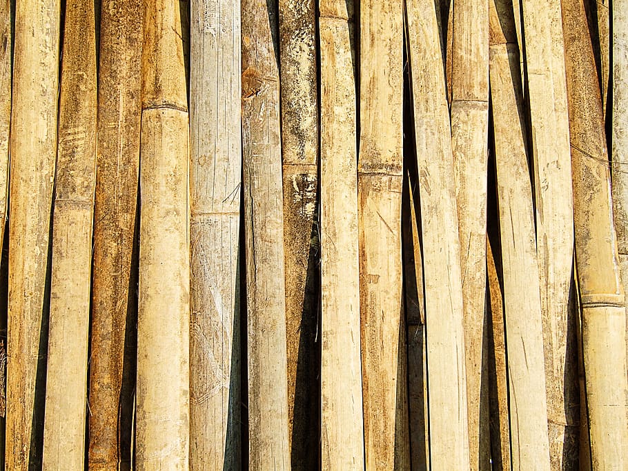 several bamboo sticks, texture, thailand, brown, background HD wallpaper