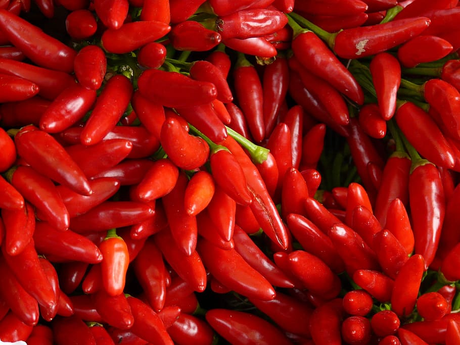 bunch of red chili peppers, Sharp, Eat, pod, pods, food, vegetable, HD wallpaper