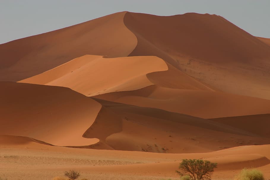 landscape photography of sand dunes, desert, dry, natural, nature, HD wallpaper