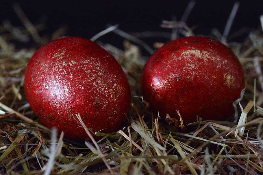 easter eggs, decoration, easter decoration, happy easter, red HD wallpaper