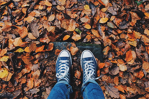 HD person wearing pair of blue low-top sneakers and blue jean stepping on ground covered with withered leaves | Wallpaper Flare
