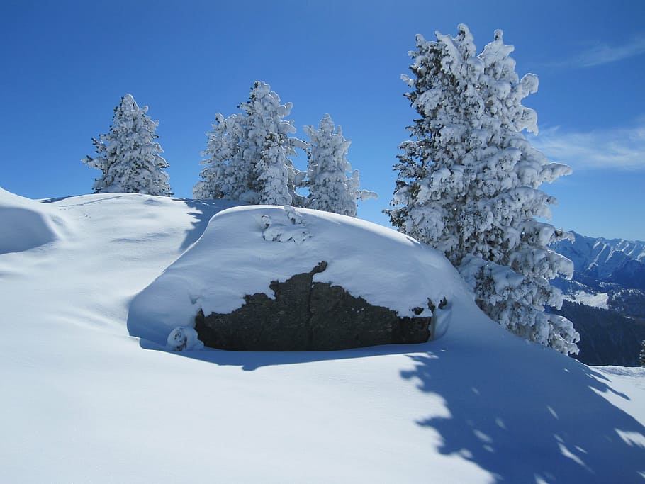 snow, winter, mountain, wintry, tree, winter dream, nature HD wallpaper