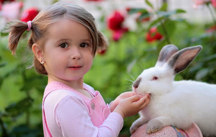 girl wearing pink dungarees holding white rabbit, friendship