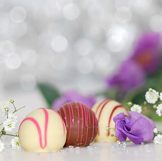 round brown and white chocolate and milk desserts, chocolates HD wallpaper