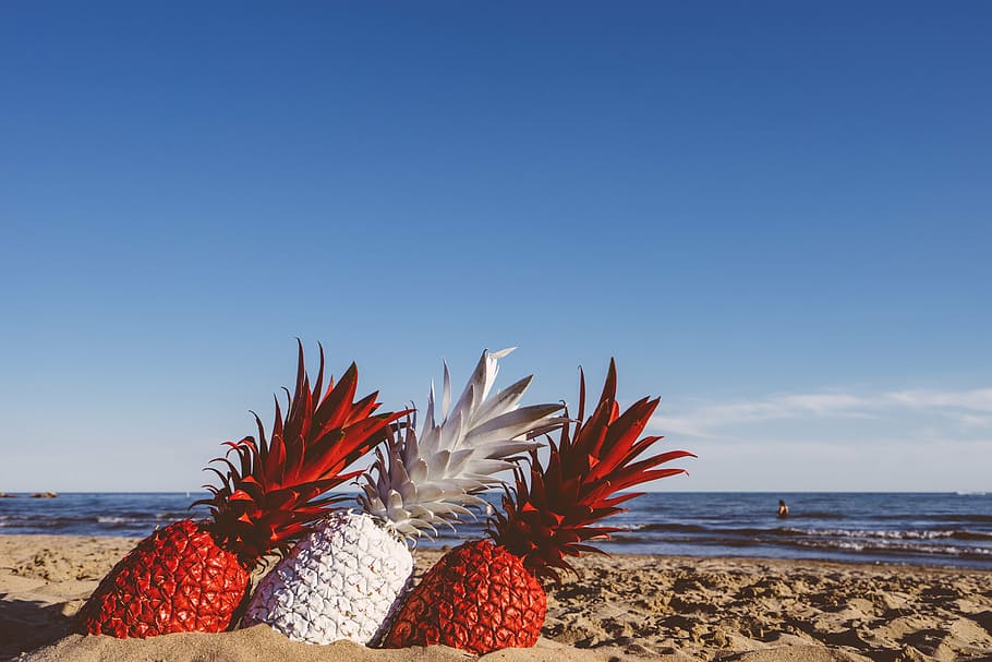 two red and one white pineapples on the sand, dessert, appetizer HD wallpaper