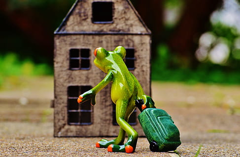 green ceramic frog pulling luggage in front of brown house figurine HD wallpaper