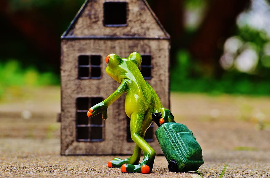 green ceramic frog pulling luggage in front of brown house figurine HD wallpaper