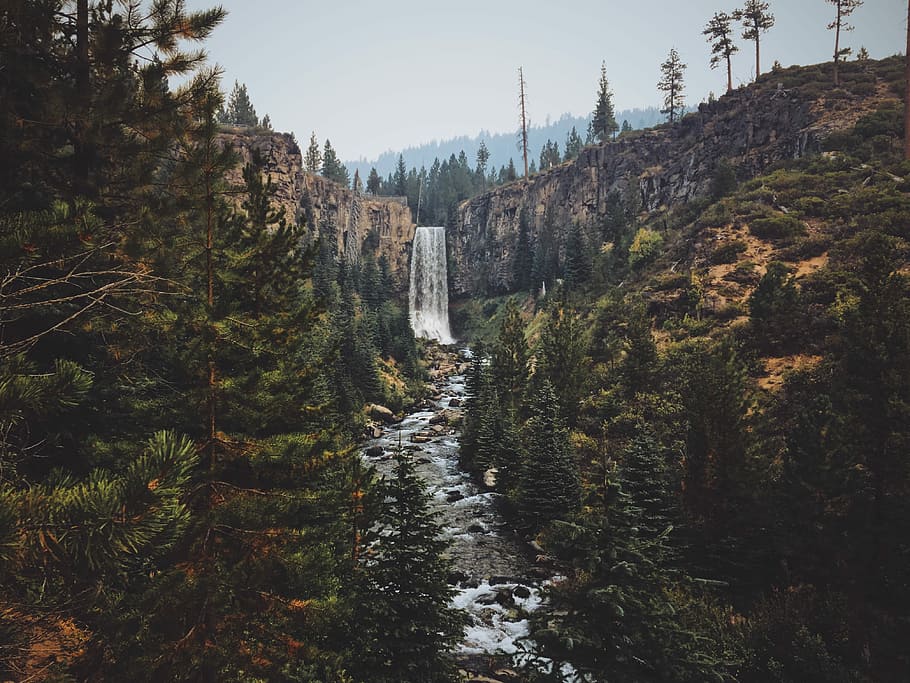 waterfall between trees and hills, tree lined creek at daytime HD wallpaper