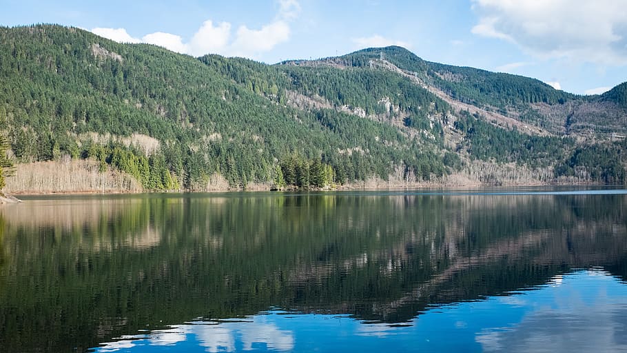 lake, reflection, nature, water, tree, scenics - nature, beauty in nature HD wallpaper