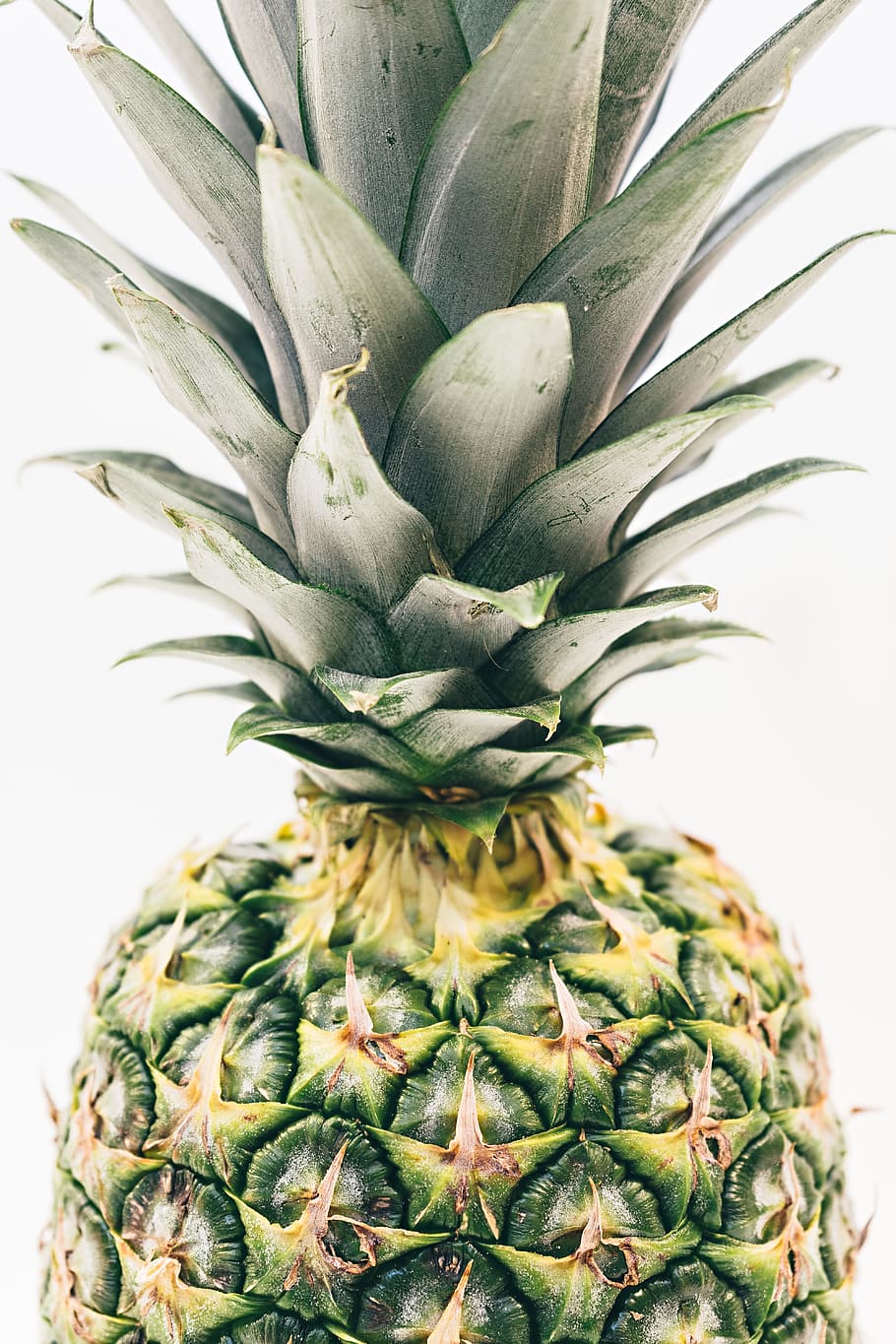 green pineapple fruit, pineapple fruit closed up photography HD wallpaper