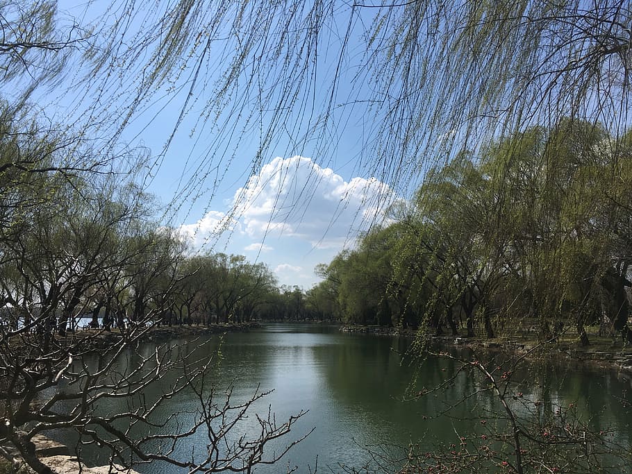 the scenery, tree, cloud, nature, river, lake, water, outdoors HD wallpaper