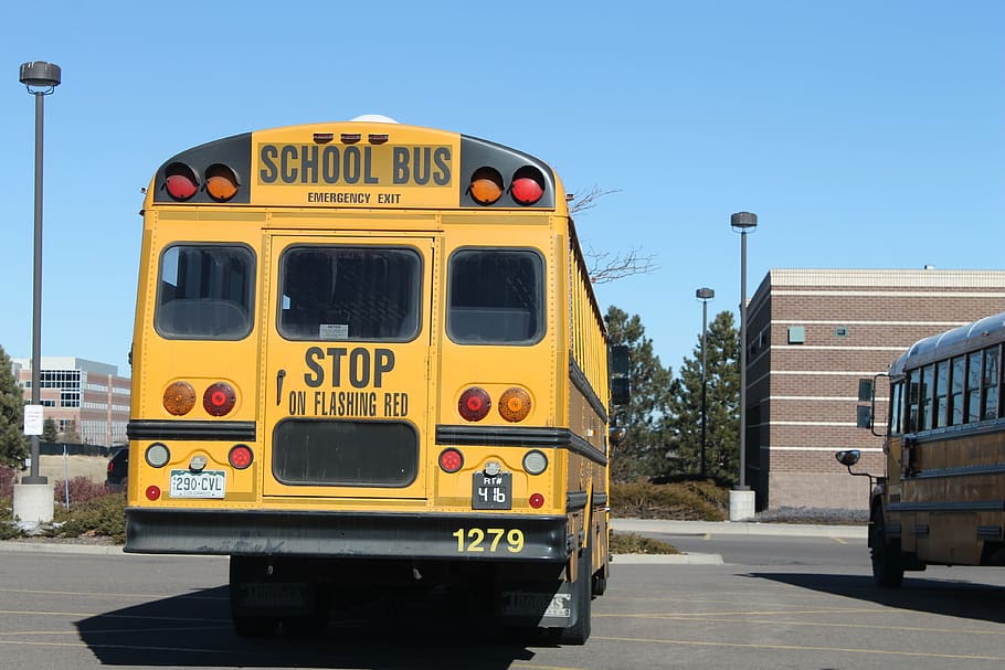 yellow school buss parked on road, transportation, vehicle, elementary