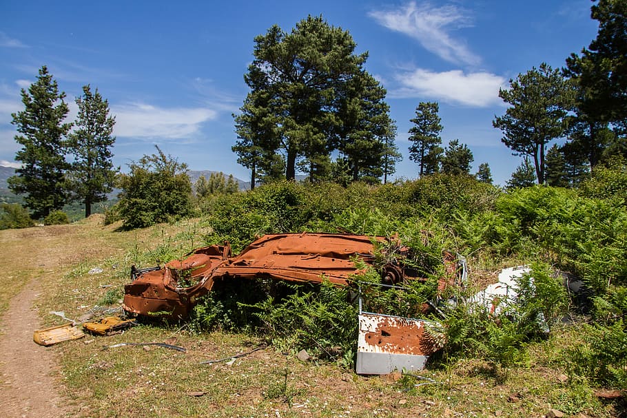 scrap, pollution, environmental sinners, tree, plant, nature HD wallpaper