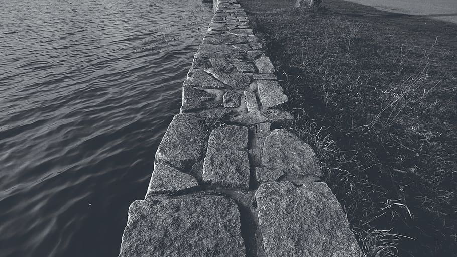black and white, trees, bright, stones, water, black-white HD wallpaper