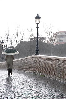 person in brown coat holding umbrella walk in the bridge beside lantern post during rain HD wallpaper
