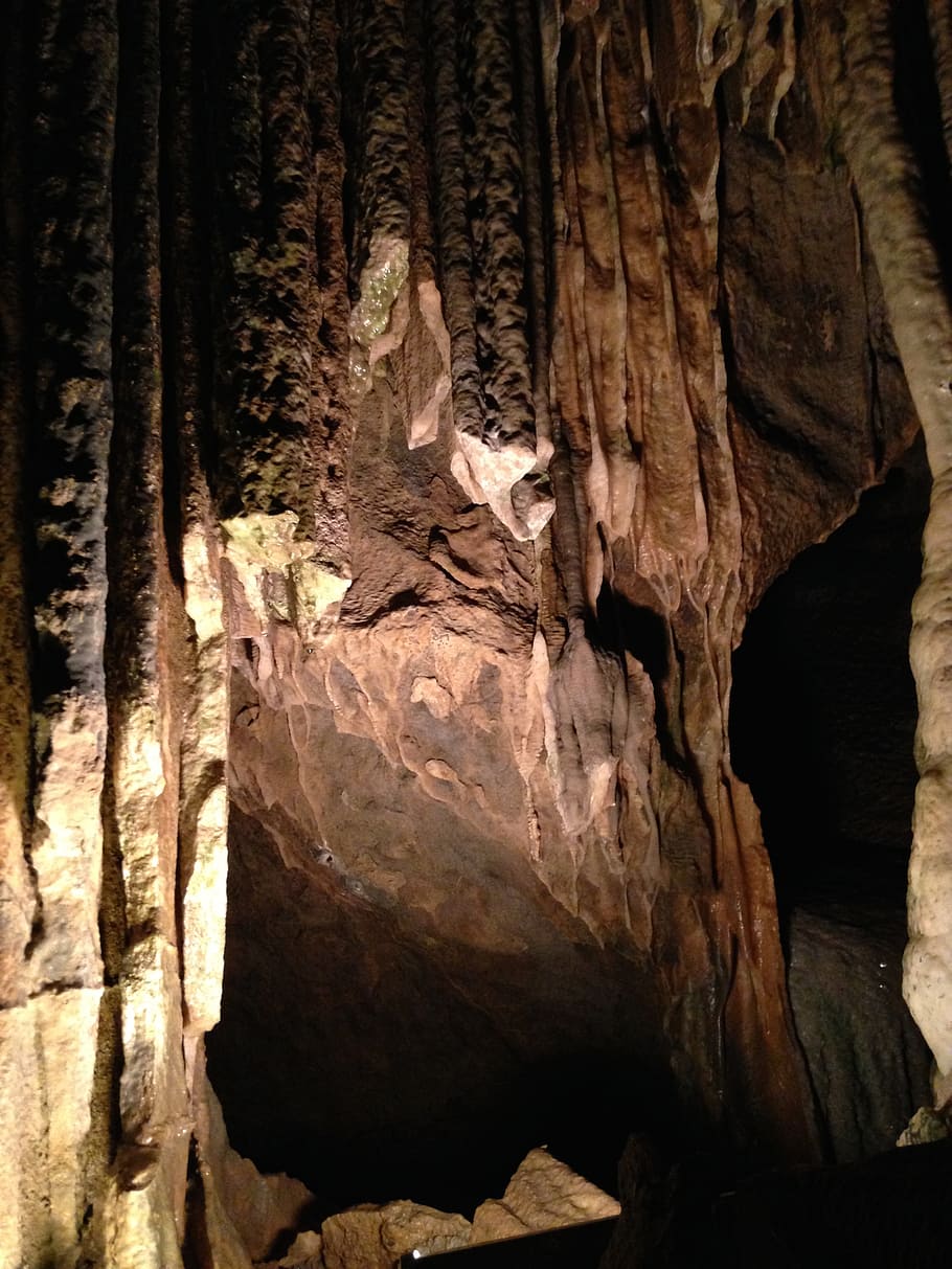 cave, brown, stone, flowstone, adventure, tree, nature, tree trunk HD wallpaper