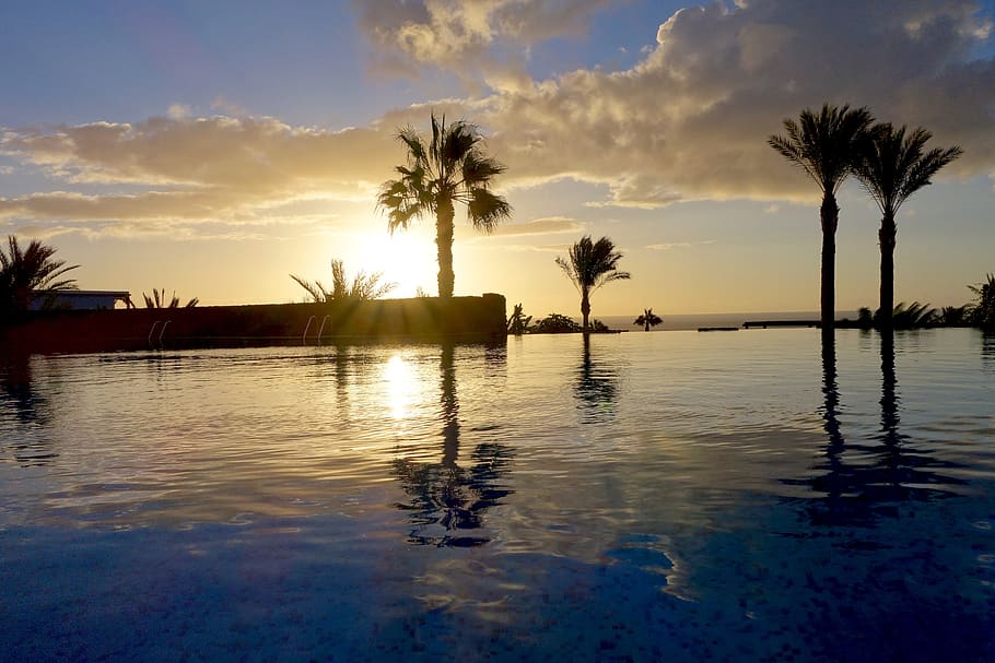 palm trees, pool, vacations, hotel, mood, swimming pool, sky, HD wallpaper